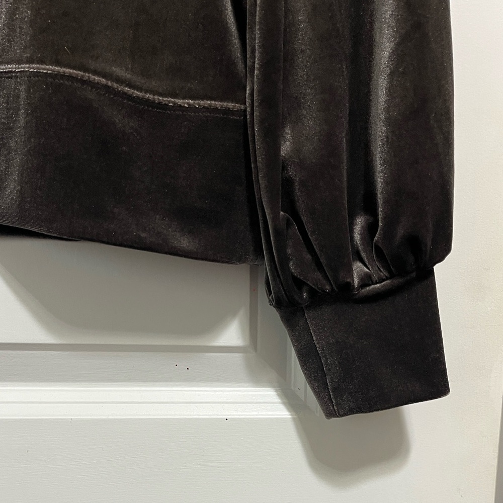 NWT Madewell Velvet Balloon Sleeve Sweatshirt Small - Picture 3 of 7